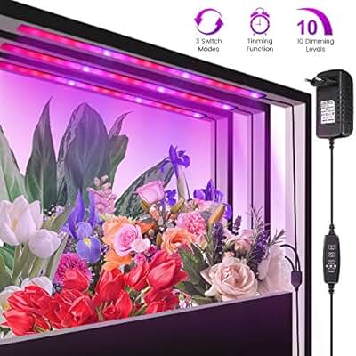 Suchergebnis auf Amazon.de für: gewächshaus: Beleuchtung