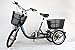 Produktbild WEE E-Bike Dreirad Ewing Nexus 3 Trike Elektrodreirad E-Trike 20Zoll