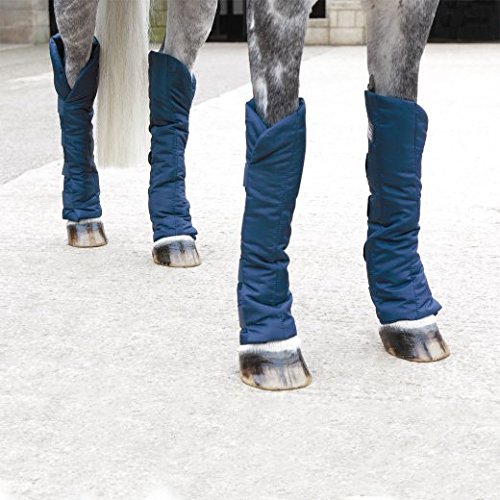 Shires-Travel-Sure-Economy-Travelling-Boots