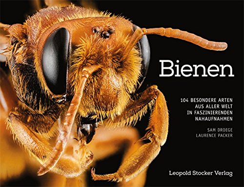Download Bienen: 104 besondere Arten aus aller Welt in faszinierenden Nahaufnahmen