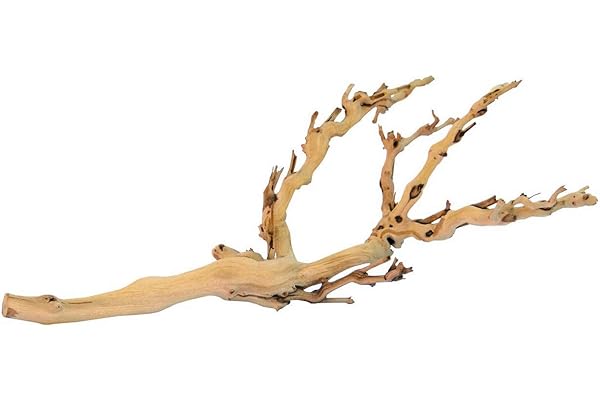 Exoterra Bois d'Ornement pour Reptiles Pied de Vigne Sablé