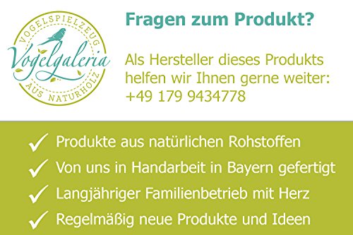 Echter Korkenzieherhasel 70-90cm, buschig verzweigt mit tollen Flechten und Grünspan. Super Deko oder als Geschenk Korkenzieherzweig Dekozweig - 3