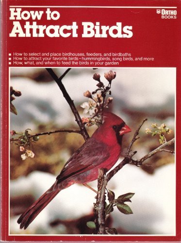 How to Attract Birds livre