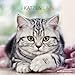 Katzen 2014 Broschürenkalender by 
