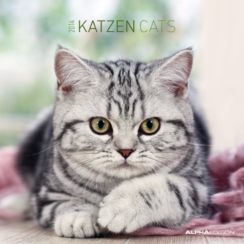 Katzen 2014 Broschürenkalender