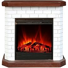 Suchergebnis auf Amazon.de für: elektrokamin