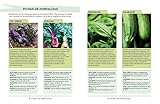 Image de Greens: Deliciosas recetas para comer verdura con cada comida