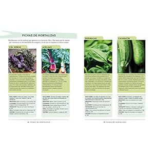 Greens: Deliciosas recetas para comer verdura con cada comida