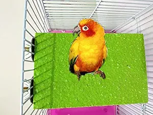 Hypeety Colorful Bird Perch Stand Platform for Parrot Macaw African Greys Budgies Parakeet Cockatiels Natural Wood Paw Grinding Clean Cage Toy (Random Color)(B)