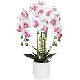 PASCH® Orchidées Artificielles En Pot Céramique Brillante 46 Cm - Fleurs Comme De Vraies (Rose)