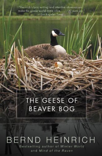 The Geese of Beaver Bog (English Edition) The Geese of Beaver Bog (English Edition)