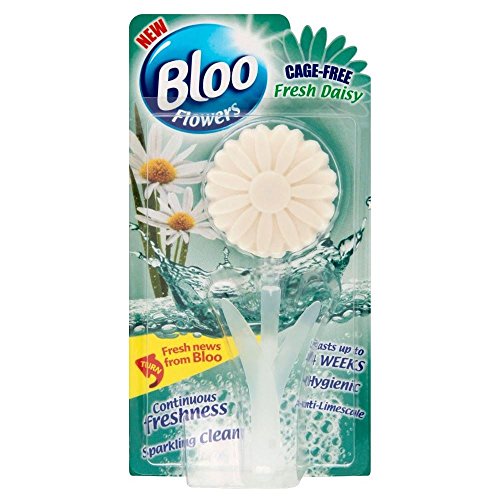 Preisvergleich Produktbild Bloo Käfig Freien Rand Frisch Gänseblümchen