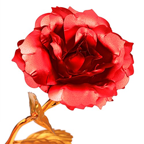 Rose 24 K vergoldet Rose Blume mit Geschenk-Box Beste Geschenk für Valentinstag Muttertag Weihnachten Geburtstag Golden/Rot/Lila/Blau – rot - 5