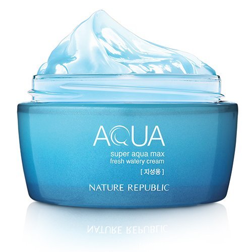 Nature Republic Super Aqua Max Fresh Watery Cream 80ml