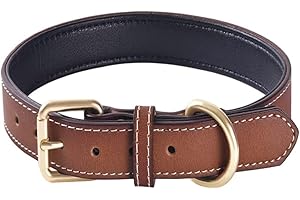 QWBWAN Genuine Leather Padded Dog Collar Comfortable Strong Soft Collars Best for Small Medium and Large Breed Dogs （Brown）(L)