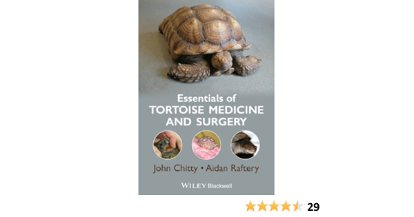 tortoise essentials