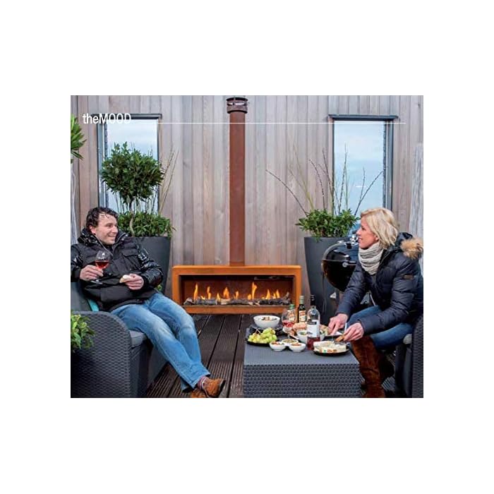 FABER TheMOOD [Gaskamin Außenbereich]: Klarglas (Durchsicht) - Erdgas
