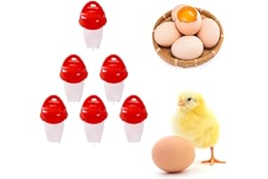 KEYET 6PCS Egg Boiler,Silicone Non-stick Egg Cooker Microwave Egg Boiler Cooker No Shell Egg Cups Premium Egg Boiler Cooker Steamer Fast Cooking Egg for Kitchen,Breakfast
