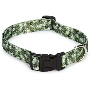 Casual Canine Polyester Bone Heads Dog Collar, 10 to 16-Inch, Green