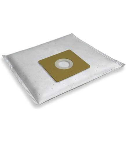 vhbw - 10 Sacchetto Carta Per Aspirapolvere Aspiraliquidi Gisowatt Aquamatic Valy (r), Aquamtic