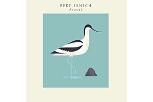 Avocet