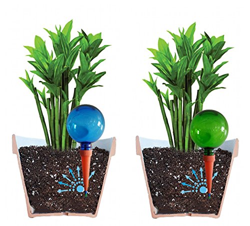 Paquete de 4 globos grandes de riego PlantpalNuevos colores claros azul y verde, visión clara del nivel del agua.Autorriego para plantas en las vacaciones o a diario.