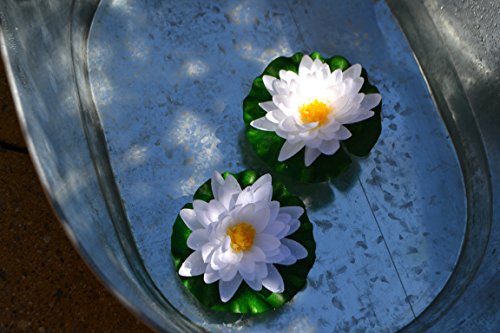 Teichdekoration- 2 Stück Seerose in grün-weiß- täuschend echt-hübsche Seerose – mit Blüte und Blätter, robust, mit Schlaufe zur Befestigung – Durchmesser 14 cm, Kunststoff - 2