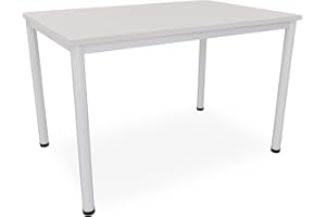 DILA GMBH Schreibtisch in verschiedenen Größen und Farben, Konferenztisch graues Metallgestell, Stabiler Besprechungstisch Arbeitstisch, Bürotisch hauseigene Fertigung (B: 120 cm x T: 80 cm, Lichtgrau)