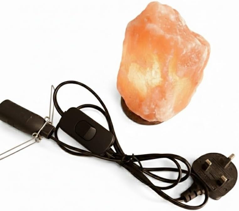 Vue 10