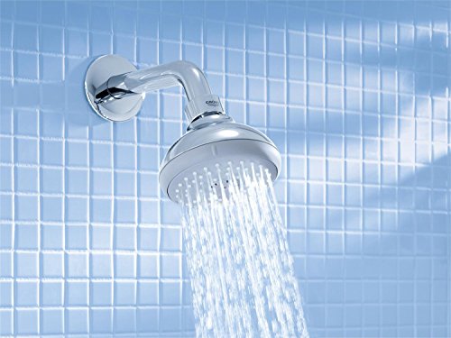 GROHE Tempesta Neu 100 Kopfbrause, 4 Strahlarten, 9,5 l/min 27606000 - 7