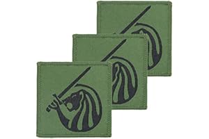 Official Issue Field Army TRF BDE Flash x3 TRF Pack