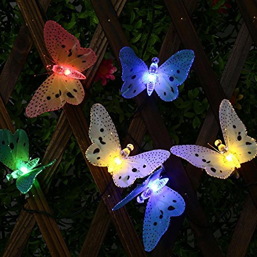 QederTEK Solar Schmetterlinge Lichterkette 20 LED 4,8 Meter, 2 Leuchtmodi, Wasserdichte Beleuchtung Dekoration mit Lichtsensor Deko für Halloween, Allerheiligen, Außen & Innen,Weihnachten, Party, Festen(mehrfarbig) - 3