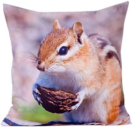Squirrel and Nut 3D High Resolution Images Photo Printed High Quality Double Sided Cushion Cover 45cm x 45cm / 18 x 18 inch CC55 (Pattern07)