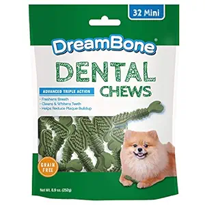 Dreambone Dbd-00311 Mini Dental Toothbrush for Dogs (32 Count), Mini