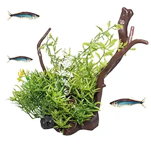 kathson Artificial Plants Aquarium Decoration Branches Fish Tank Landscape Ornaments Simulation Plant for Bettas, Shrimps and Aquatic Animals