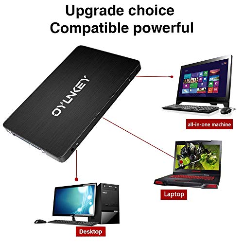 OYUNKEY 3D NAND SSD 120GB 2 5 pulgadas SATA III Disco duro s  lido interno hasta 520 MB s de velocidad de lectura  hasta 400 MB s de velocidad de escritura para Desktop   Laptop   Notebook   E PRO-120G   