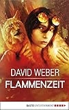 Image de Flammenzeit: Roman