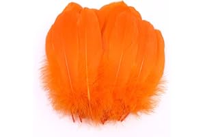 DUORIES 100 Stück Bunte Feder zum Basteln Naturfedern Gänsefedern Indianer Bastelfedern für DIY Kunstwerk Masken Hüte Ohrringe Haarschmucken Traumfänger Hochzeit Karneval Party Dekoration,12-18cm Orange
