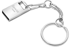 GEWEO pendrive USB 32 GB, metalowy pendrive USB 2.0, 32 GB, pamięć USB, z breloczkiem do kluczy, do szkoły, biura, samochodu, komputera, laptopa (srebrny)