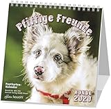 Pfiffige Freunde 2020: Postkarten-Kalender by 