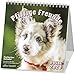 Pfiffige Freunde 2020: Postkarten-Kalender by 