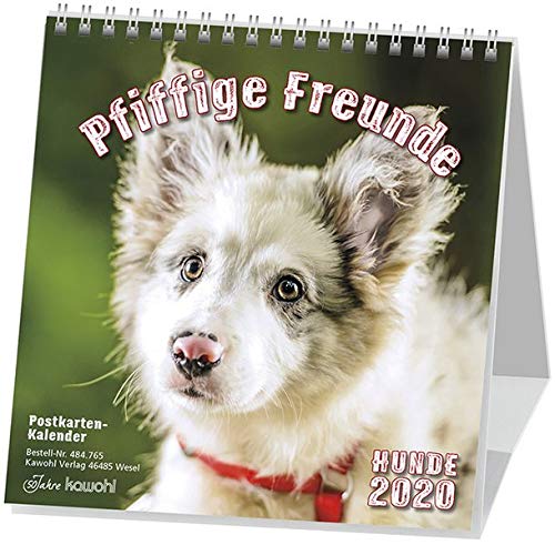Pfiffige Freunde 2020: Postkarten-Kalender