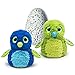 Produktbild hatchimals draggles grün