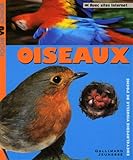 Image de Oiseaux
