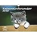 Produktbild Katzenkinderzauber DIN A3 Kalender 2020 Katzenkinder Katzenbabys und zusätzlich 1 Grußkarte - Seelenzauber
