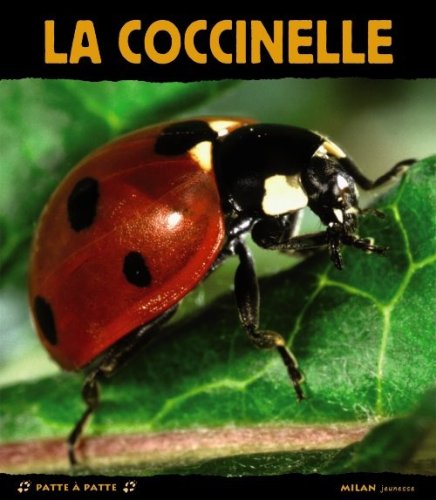 <a href="/node/43368">La coccinelle</a>