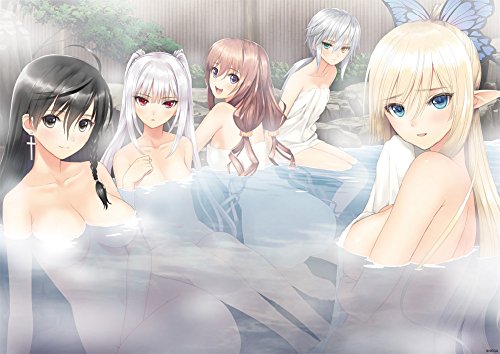 Preisvergleich Produktbild Shining Heroines B2 size Clear Poster "Yukemuri illusion" [TGS2015]