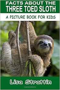 Download Facts About the Three Toed Sloth (A Picture Book For Kids ...