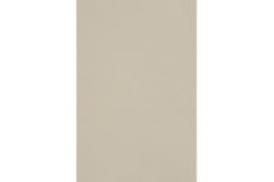Netuno 20x carton gris clair 250g papier décoratif A4 210x297mm Burano Grigio idéal pour cartes de voeux scrapbooking bricolage invitations art et artisanat anniversaire DIY loisirs créatifs