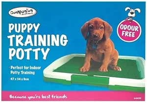 potty patch amazon